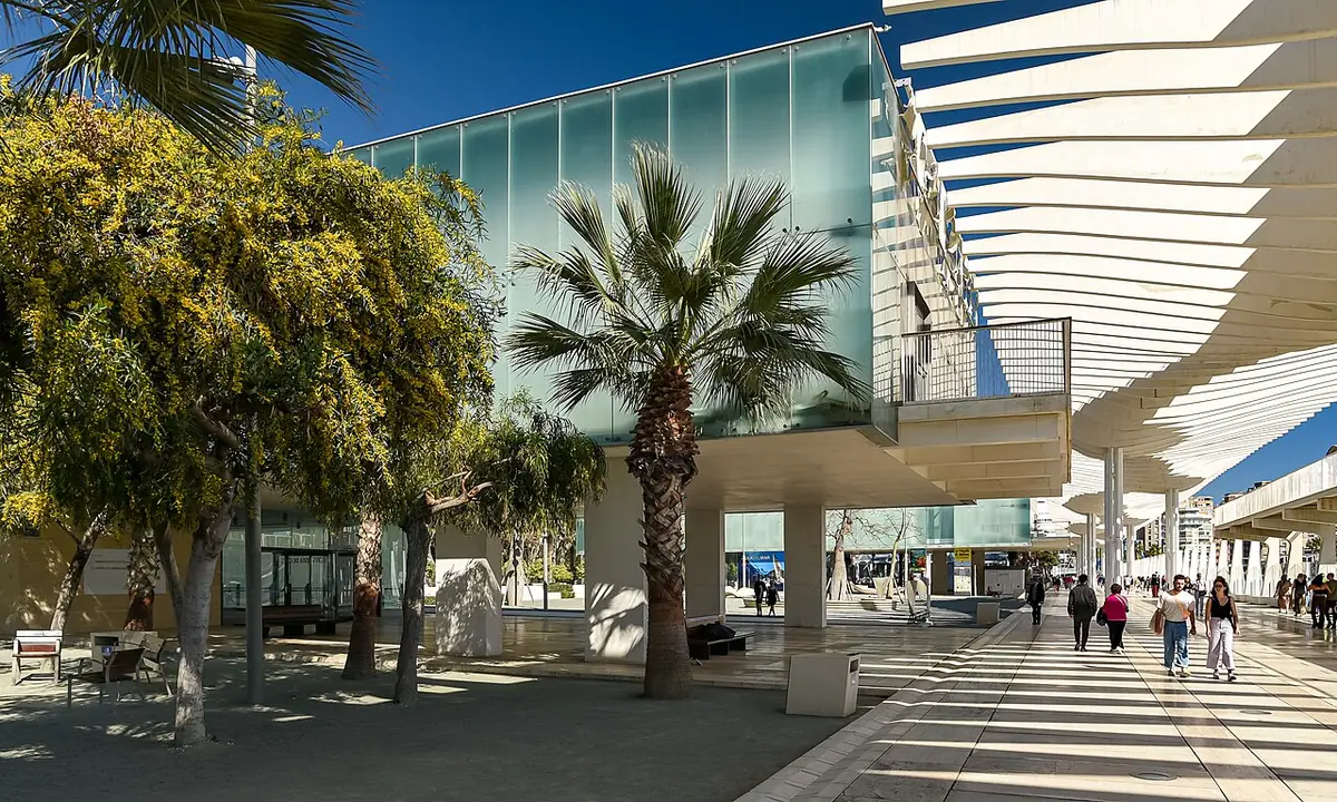 La promenade du Palmeral de las Sorpresas, ombragée par ses palmiers