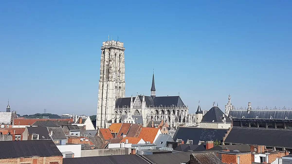 La tour Saint-Rombaut domine les toits de Malines