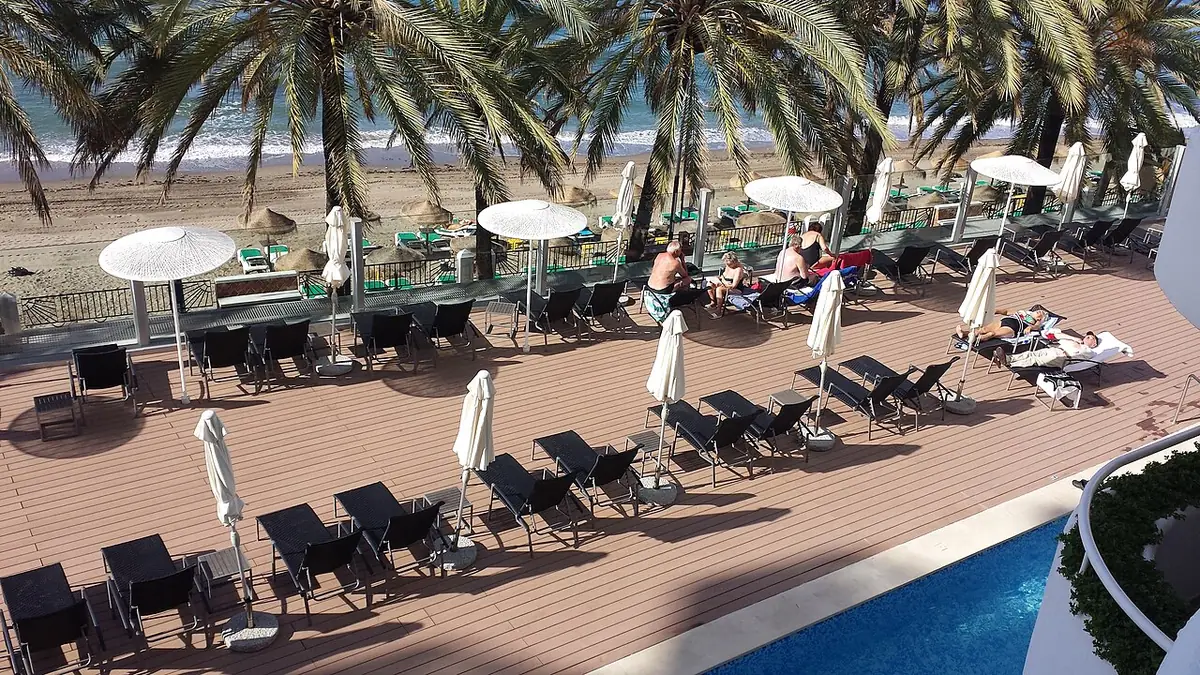 Une piscine avec transats et palmiers sur un toit-terrasse à Marbella