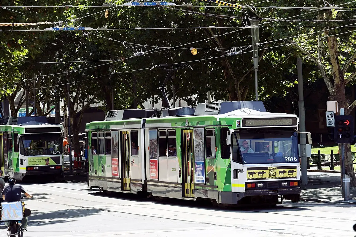 Deux tramways verts et blancs sur Swanston Street, bordée d'arbres, dans le centre de Melbourne