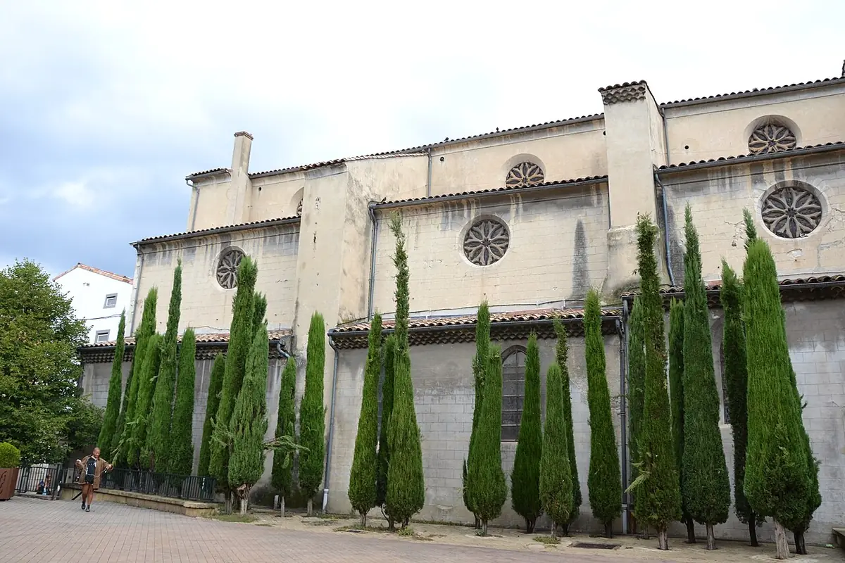 La collégiale Sainte-Croix de Montélimar bordée d’une rangée de cyprès