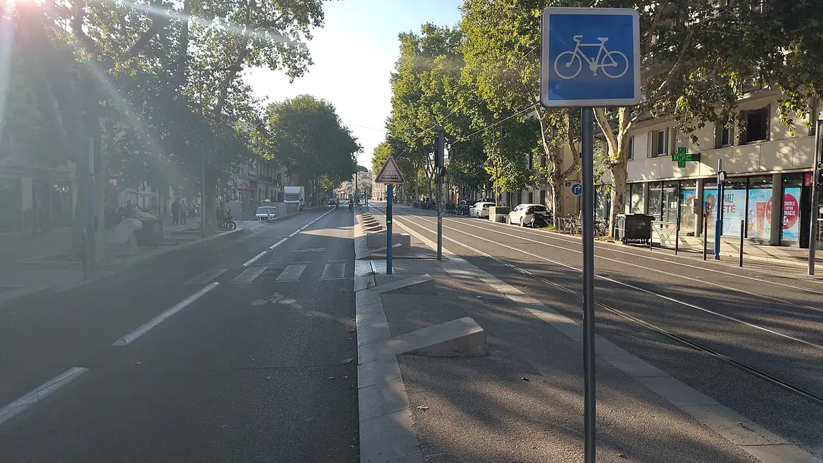 Une avenue de Montpellier bordée d’arbres avec piste cyclable