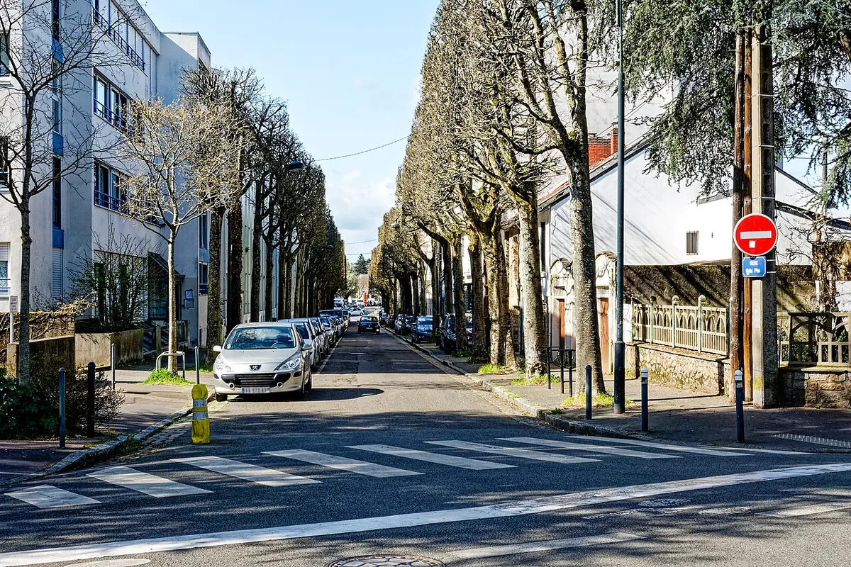 La rue du Pin à Nantes, bordée de platanes