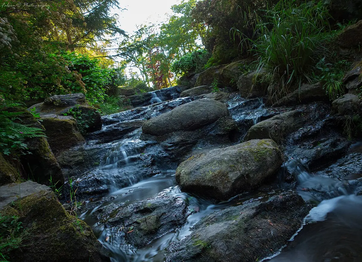 Un ruisseau coulant entre les rochers dans un parc de Nantes