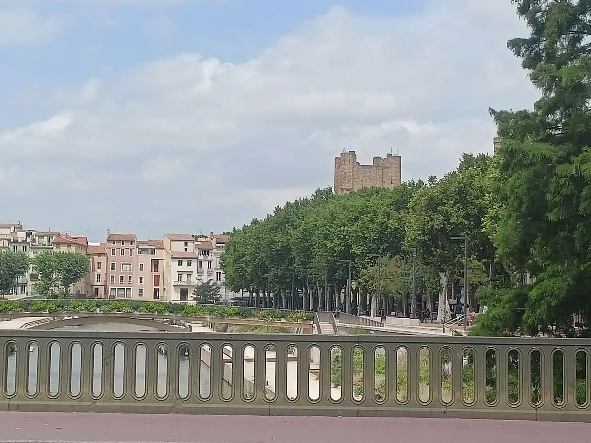 Vue depuis un pont à Narbonne sur une promenade plantée de platanes, tour et façades au fond
