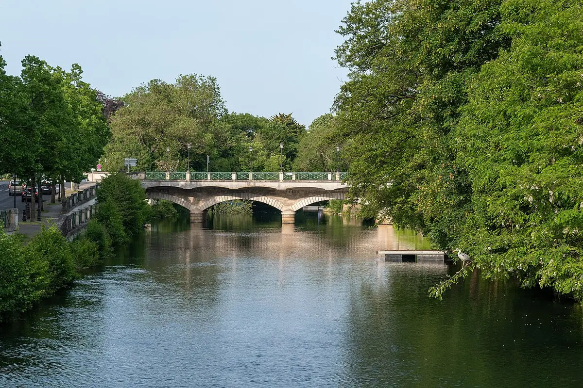 La Sèvre Niortaise bordée d’arbres, avec le Pont Main au loin