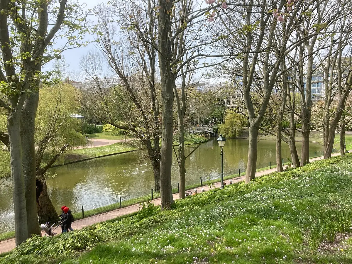 Étang bordé d’arbres et pelouse en pente dans un parc d’Ostende