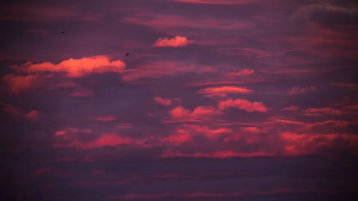 Un coucher de soleil rosé dans le ciel d’Oujda