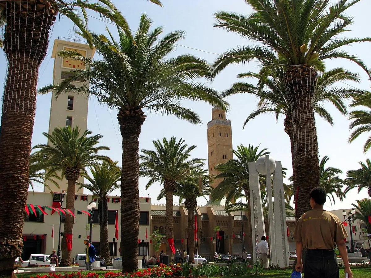 Une rue bordée de palmiers à Oujda, avec le minaret d’une mosquée au loin