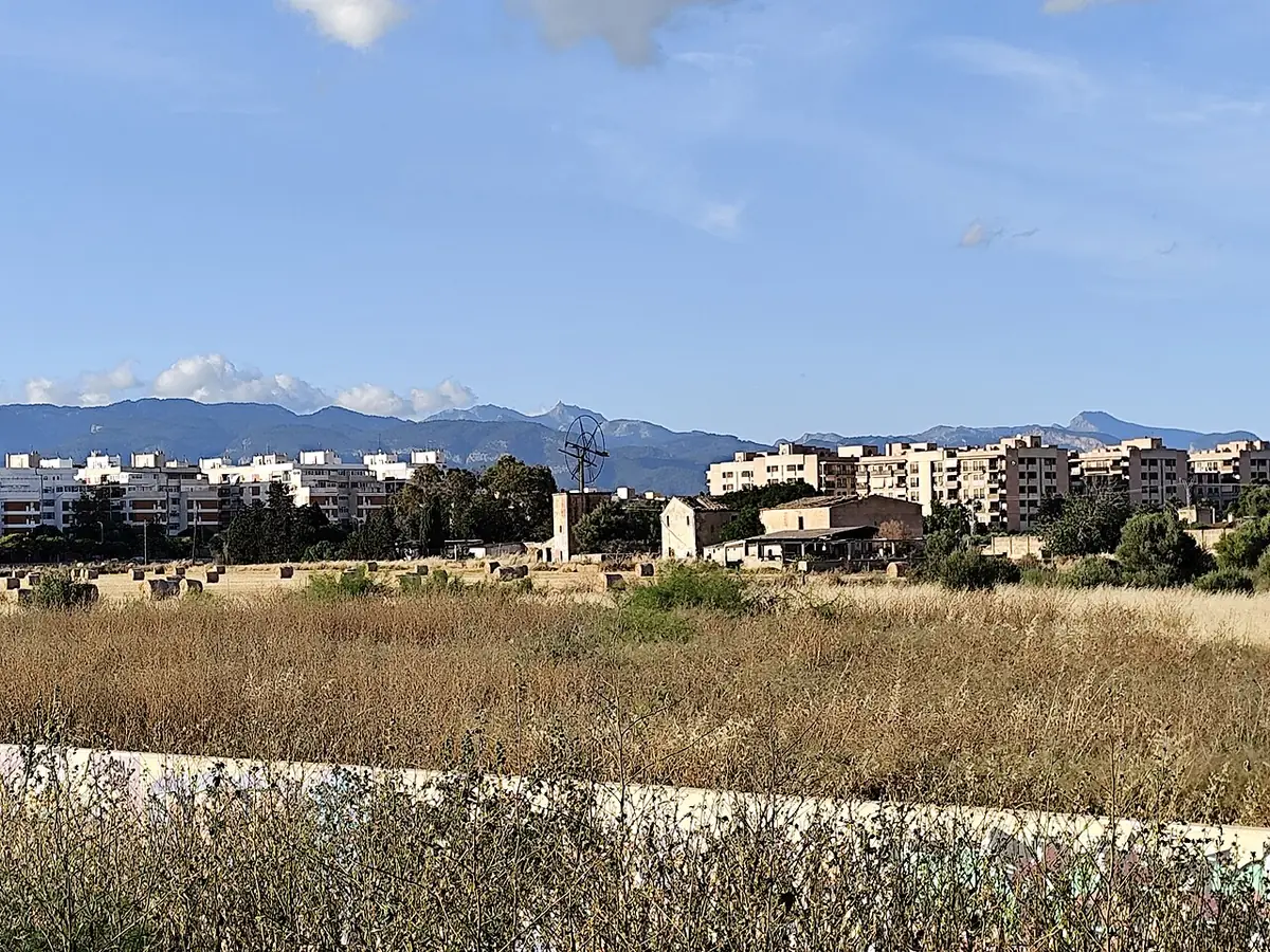 Immeubles de Palma au bord d’un champ, la Serra de Tramuntana à l’horizon