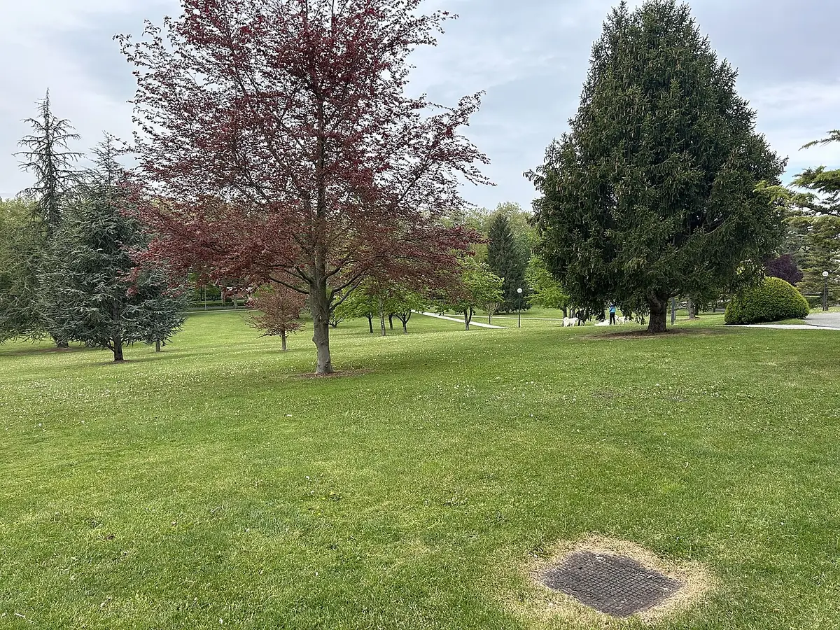 Grande pelouse et arbres au printemps sur le campus de l’université de Navarre