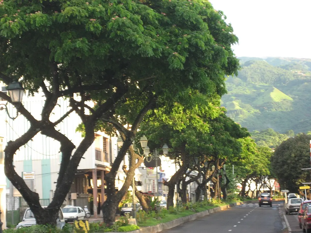 Une avenue de Papeete ombragée par de grands arbres, montagnes verdoyantes en arrière-plan