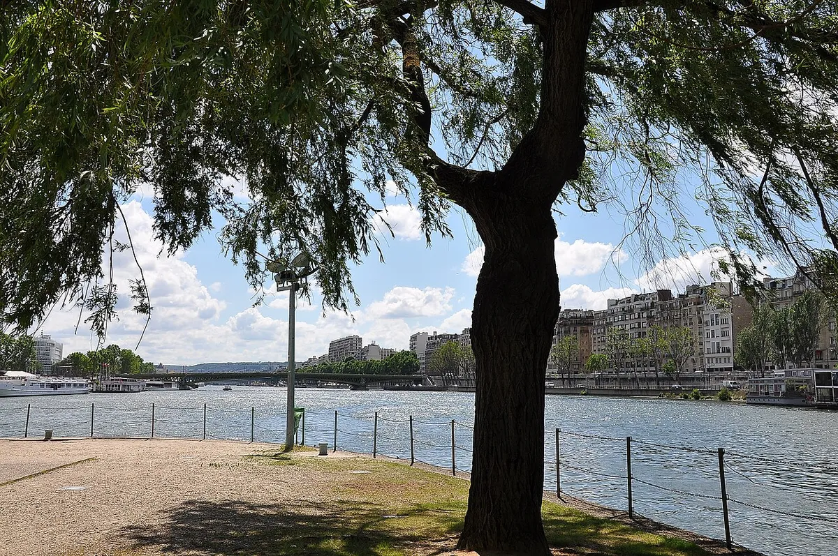 Île aux Cygnes