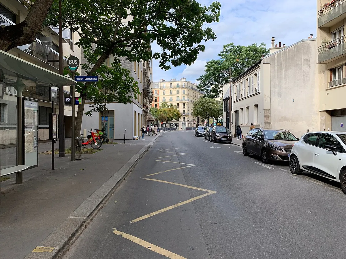 Rue du Docteur Roux, Paris.