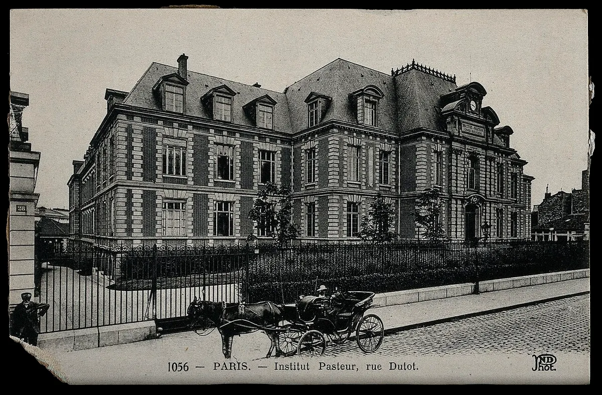 Rue Dutot, Paris 15e