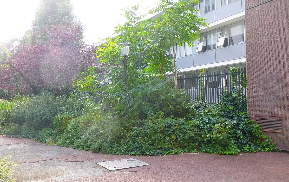 Rue François-Bonvin, Paris 15e