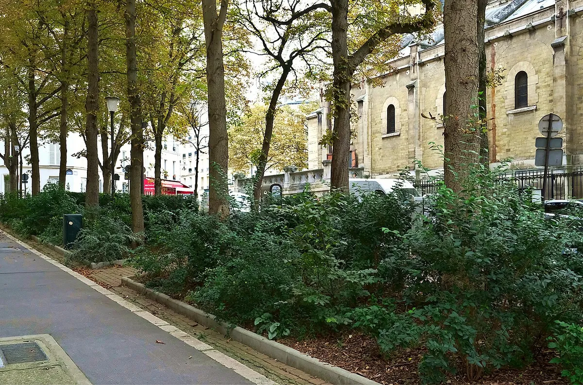 Rue Gerbert