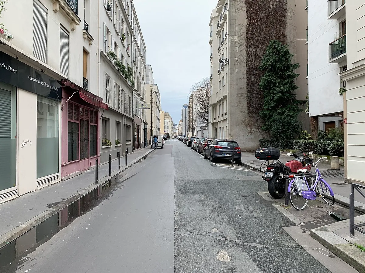 Rue Rouelle (Paris).