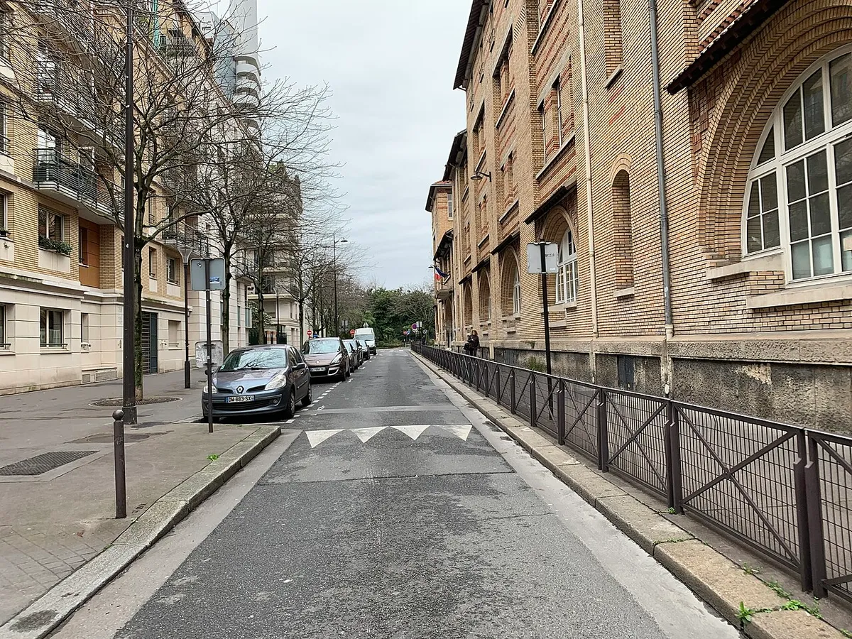 Rue Rouelle (Paris).