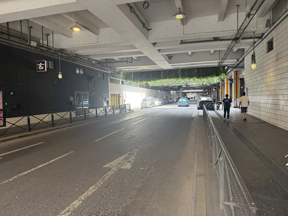 La rue Robert Flers, un passage couvert avec des plantes suspendues