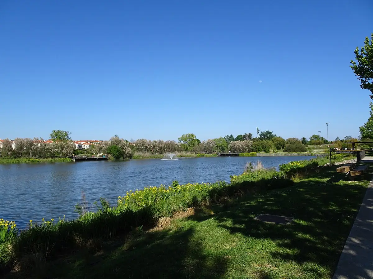 Le plan d’eau du parc Saint-Vicens à Perpignan sous un ciel bleu