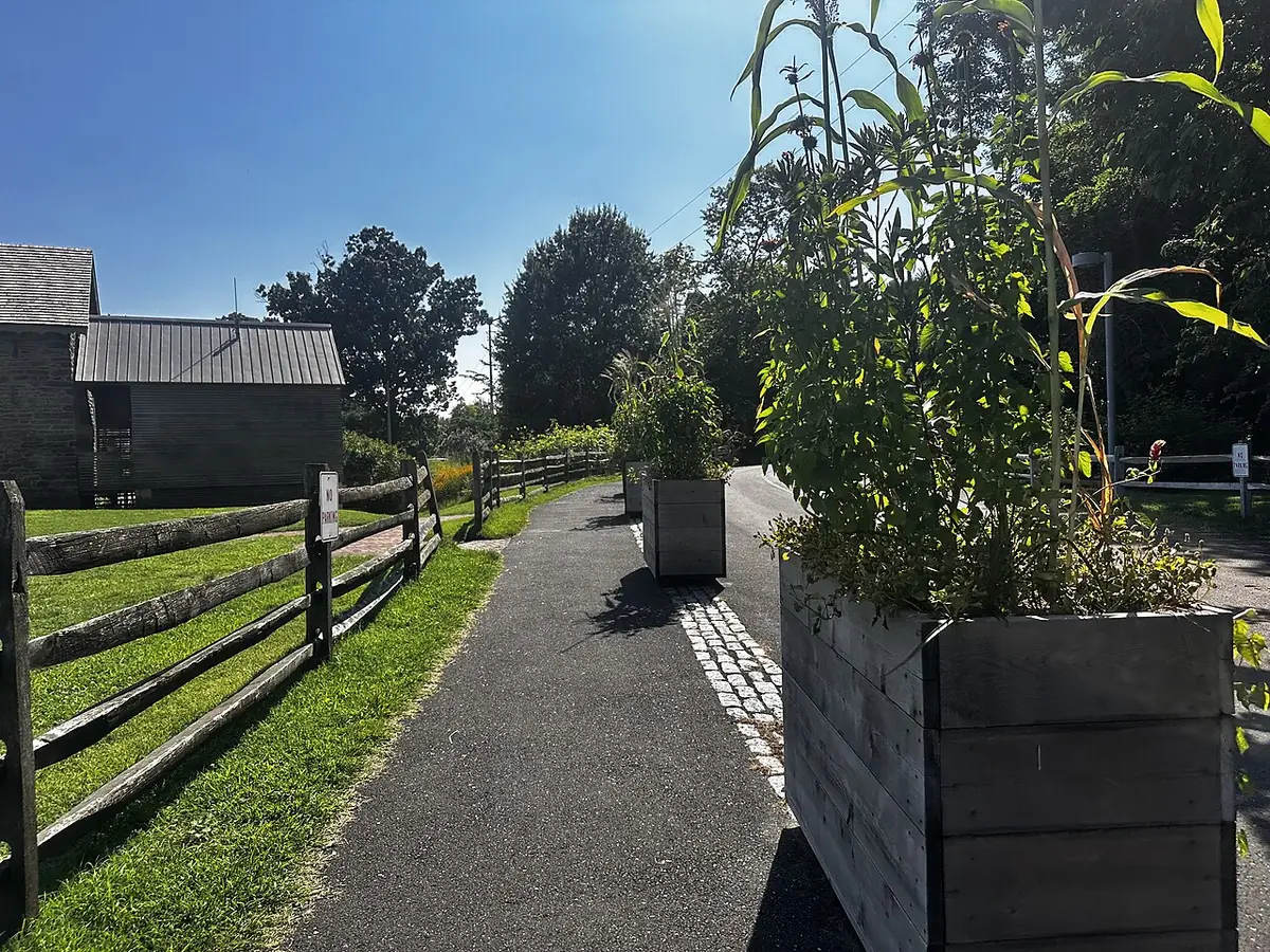 Une allée bordée d’une clôture en bois dans les jardins de Bartram