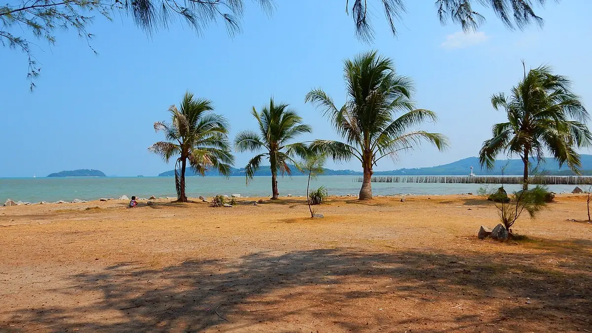Une plage tranquille de Phuket avec quelques palmiers et une eau turquoise calme