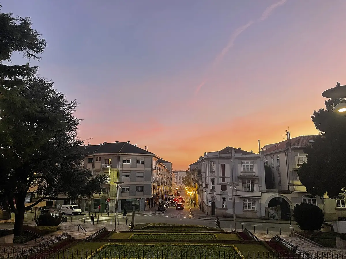 Le coucher de soleil sur une rue de Porto bordée d’arbres