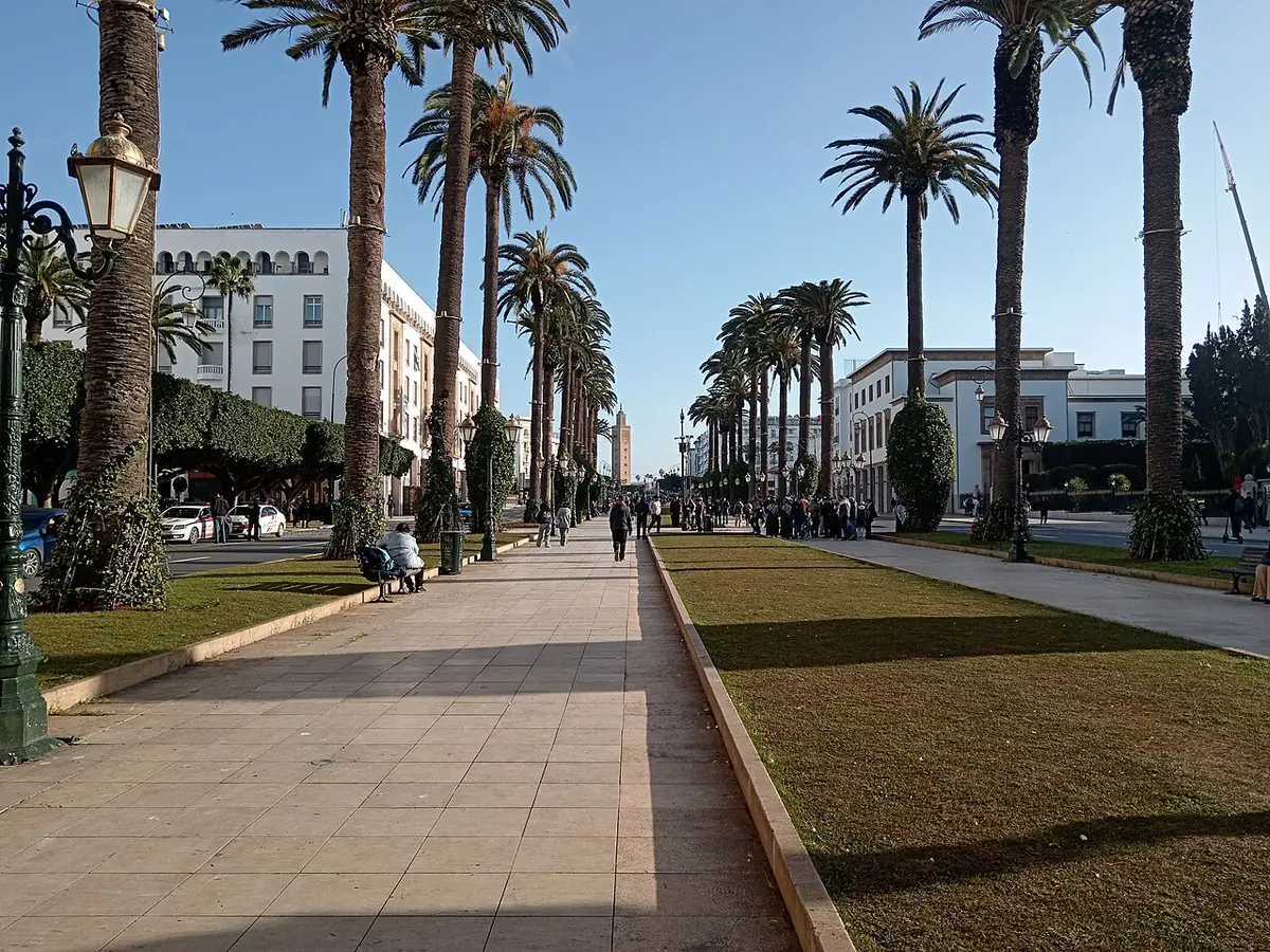 L’avenue Mohammed V bordée de palmiers, à Rabat