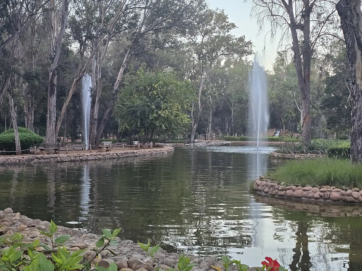 La forêt urbaine Ibn Sina, son bassin et sa fontaine entourés d’arbres