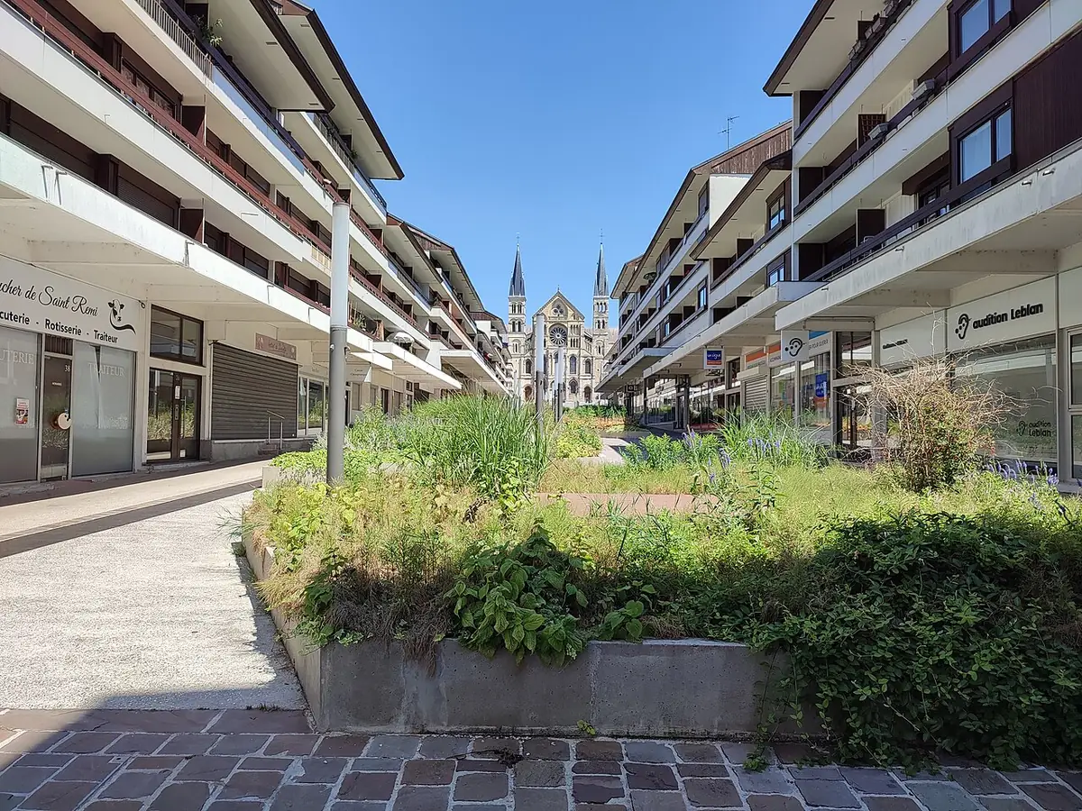 Une rue commerçante piétonne de Reims, vitrines et jardinières