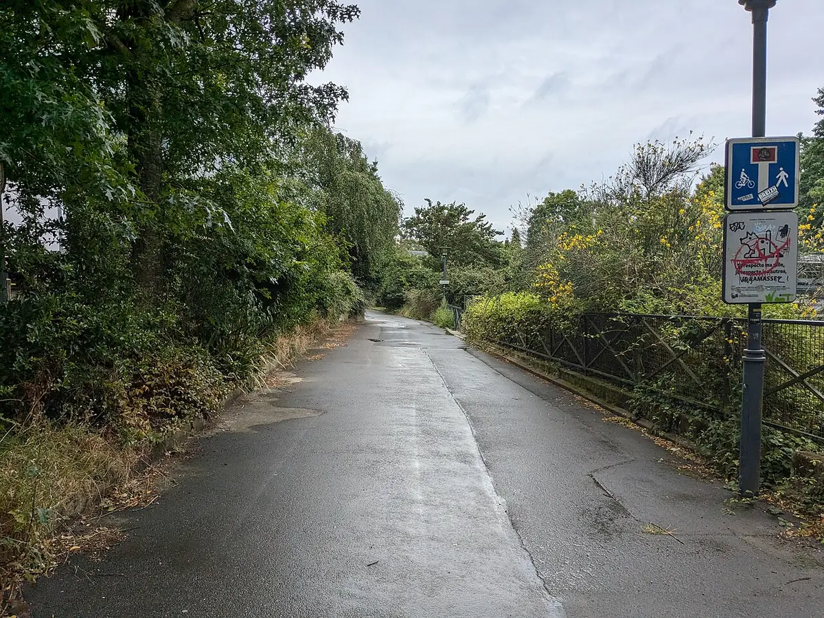 Une allée résidentielle calme et verdoyante à Rennes
