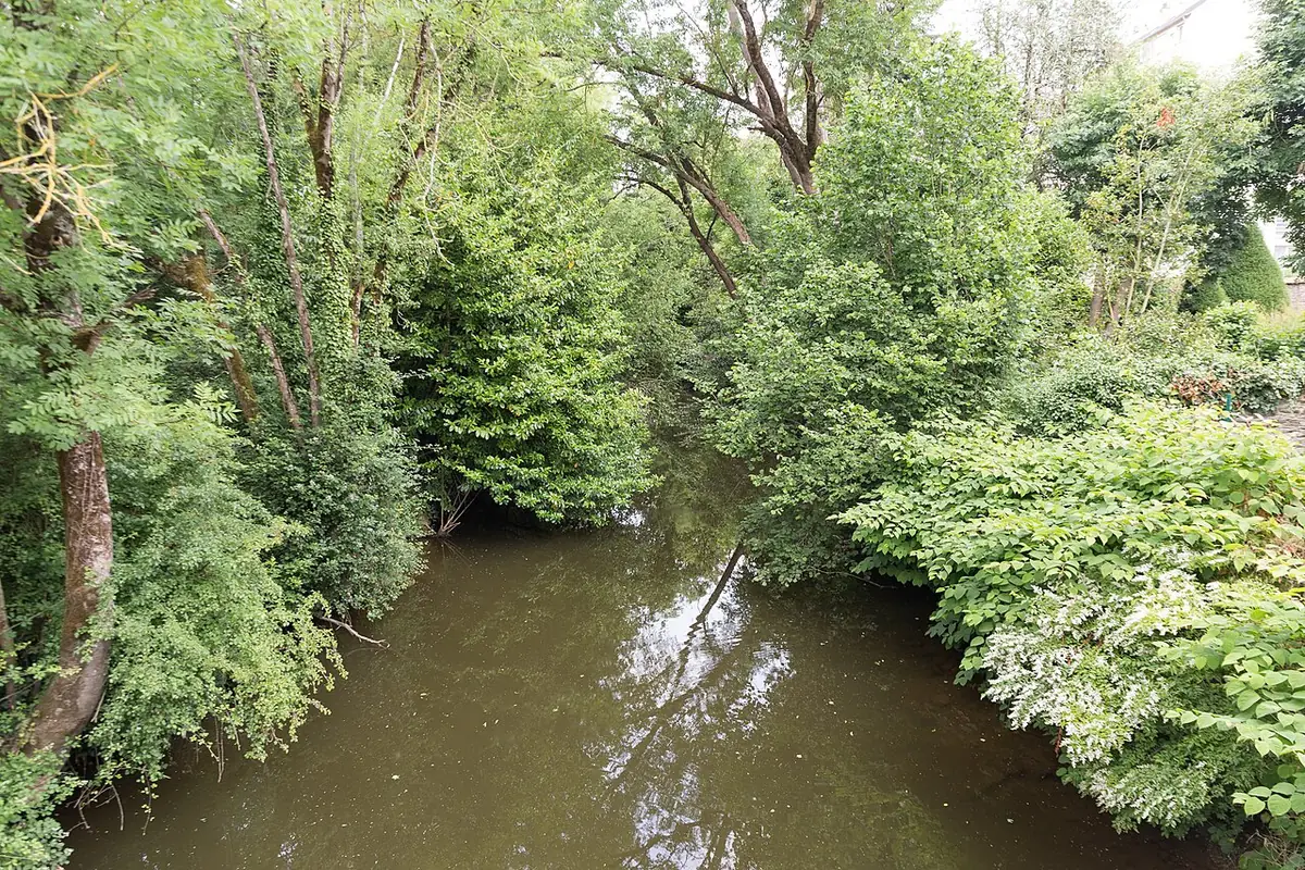 Le cours calme de l’Ille à Rennes, entouré d’arbres