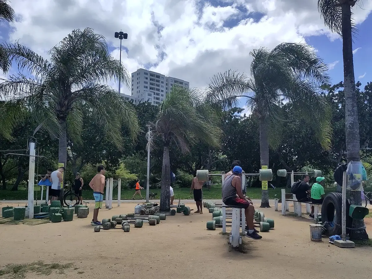 Le parc du Flamengo, ses palmiers et ses équipements de plein air