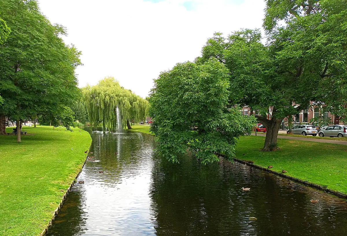 Le parc Heemraadspark avec ses pelouses, ses arbres et son bassin à Rotterdam