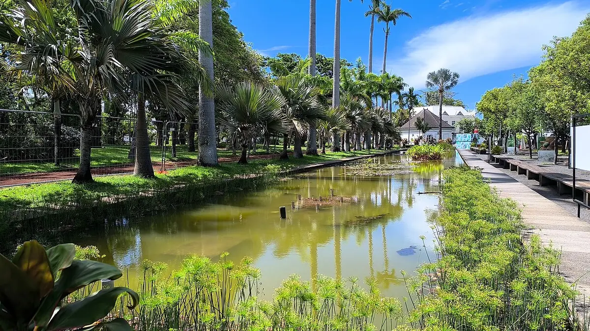 Bassin et allées bordées de palmiers au Jardin de l’État à Saint-Denis