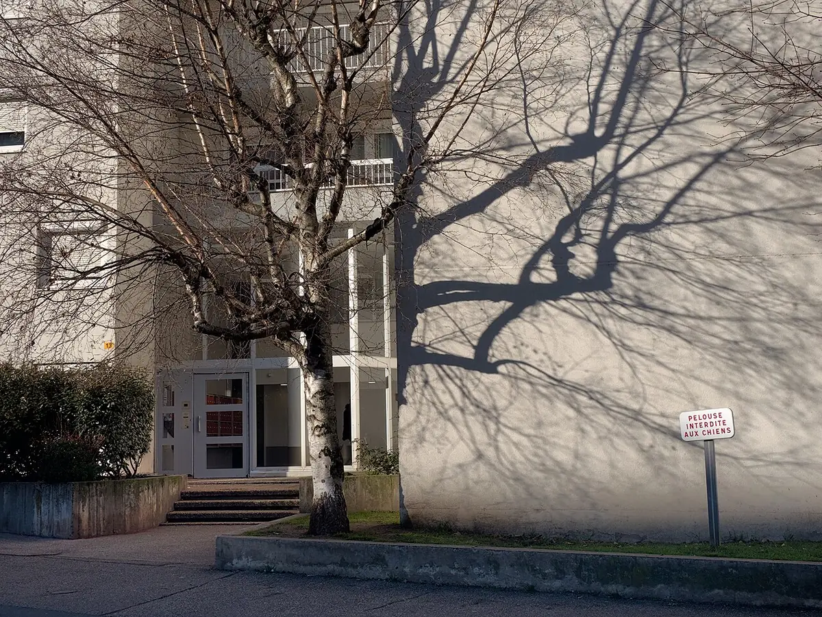 Une rue calme de Saint-Étienne, ombre d’un arbre sur la façade d’un immeuble