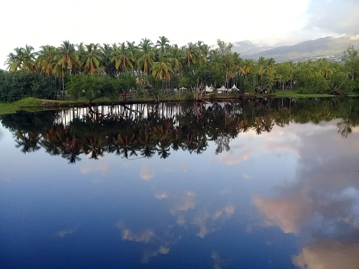 Plan d’eau de l’étang de Saint-Paul bordé de cocotiers qui se reflètent dans l’eau