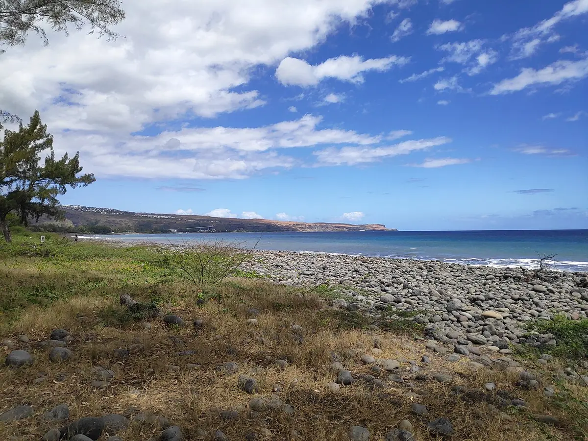 Rivage de galets et océan à Saint-Paul, herbes sèches au premier plan, ciel bleu nuageux