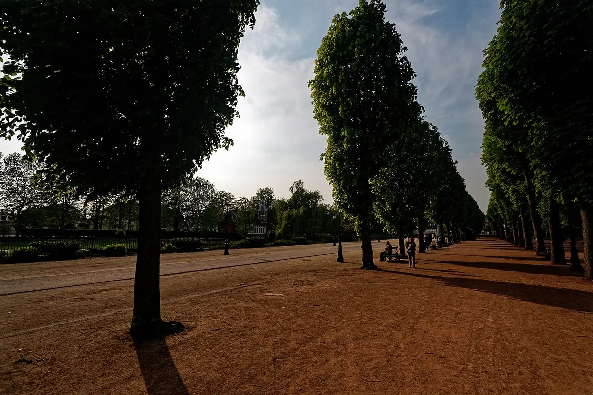 Allée ombragée bordée de grands arbres dans le parc des Champs-Élysées à Saint-Quentin