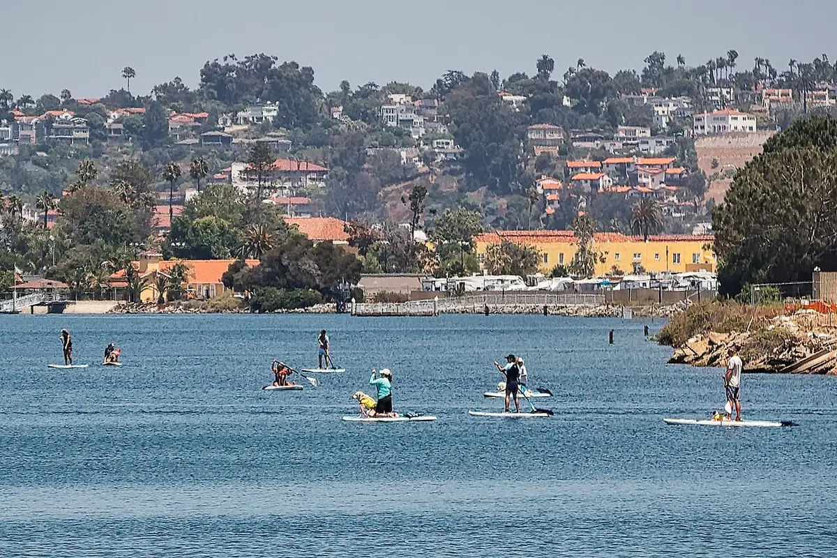 Des maisons colorées à flanc de colline surplombant une baie à San Diego, planches à pagaie sur l’eau