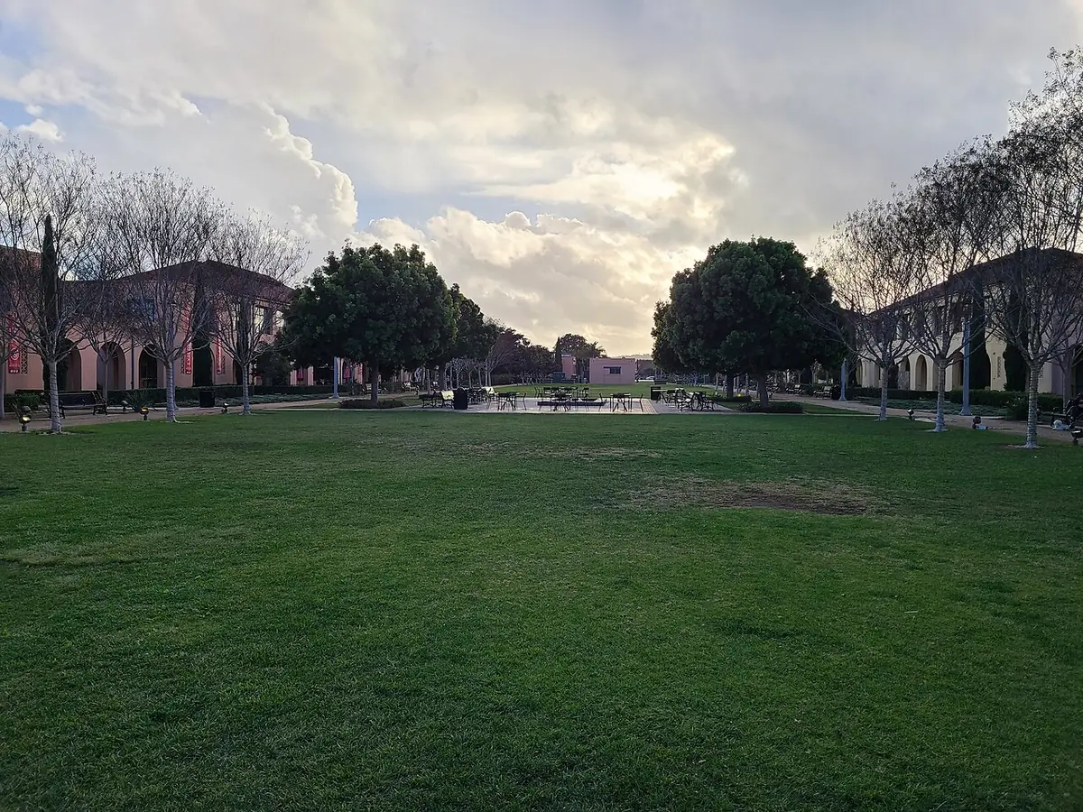 Une longue pelouse bordée d’arbres, encadrée de bâtiments à colonnades à Liberty Station, San Diego