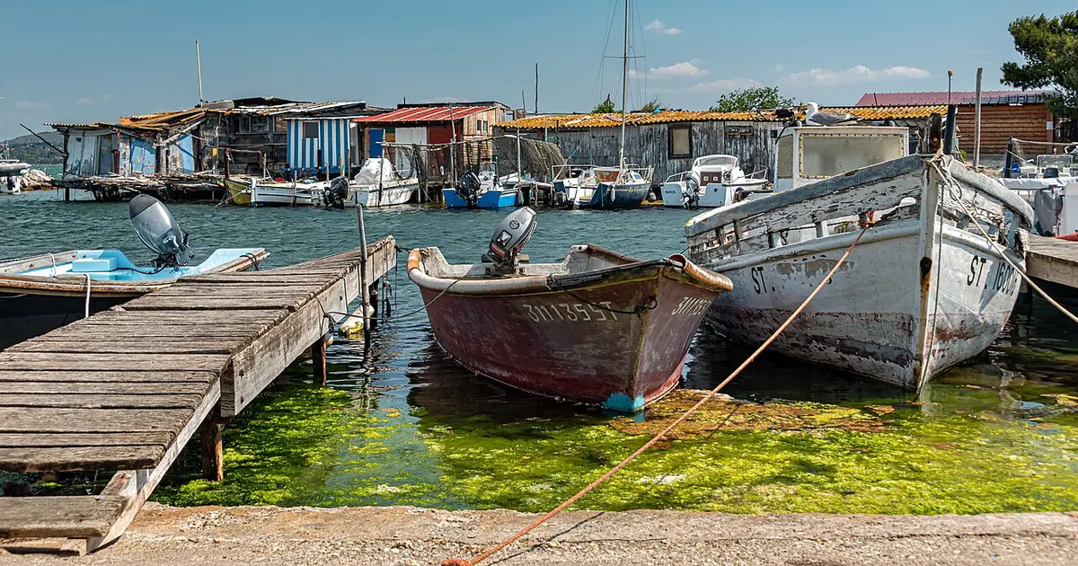 Barques en bois amarrées à un ponton à la Pointe-Courte, cabanes de pêcheurs au fond