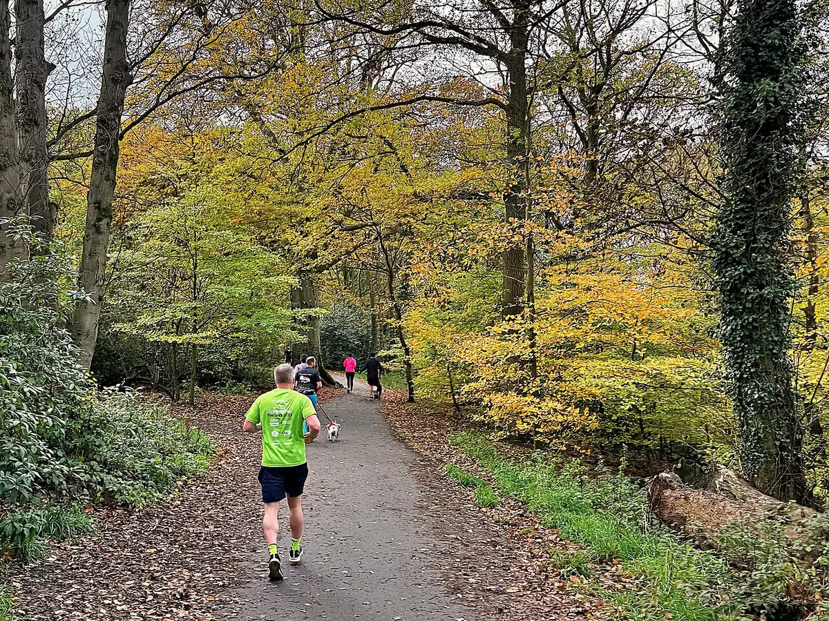 Des coureurs sur un chemin bordé d’arbres aux couleurs d’automne