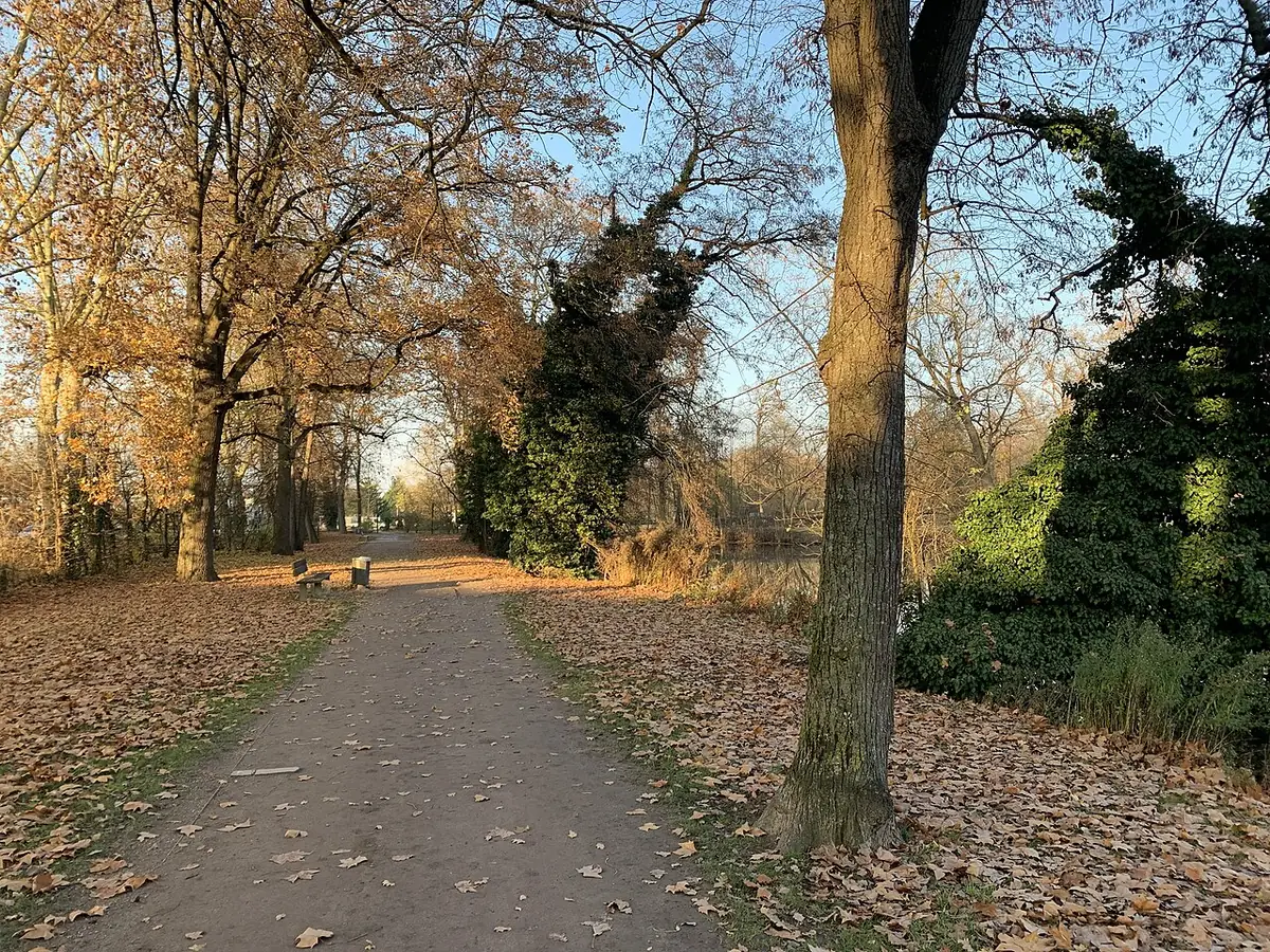 Une allée bordée d’arbres en automne dans le parc Schulmeister à Strasbourg