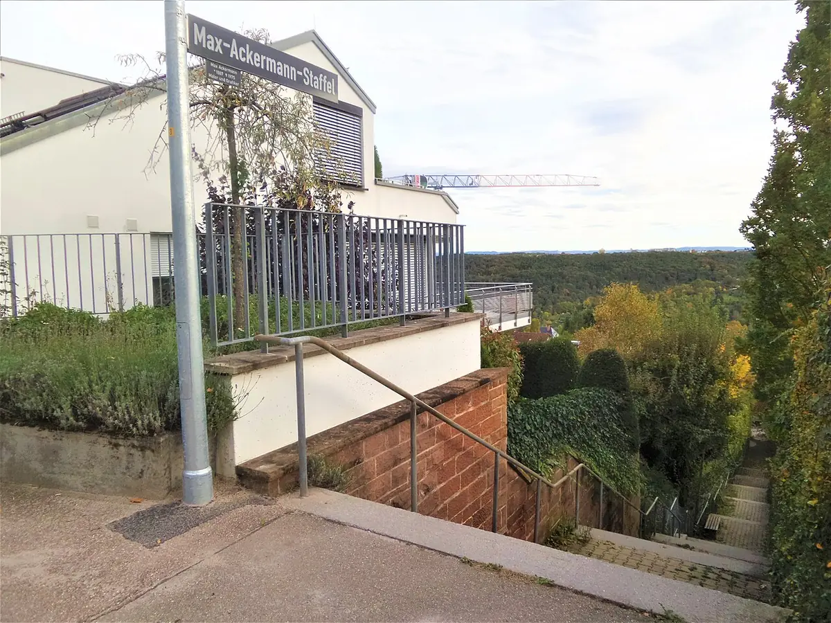 Vue sur la vallée boisée depuis le haut de la Max-Ackermann-Staffel à Stuttgart
