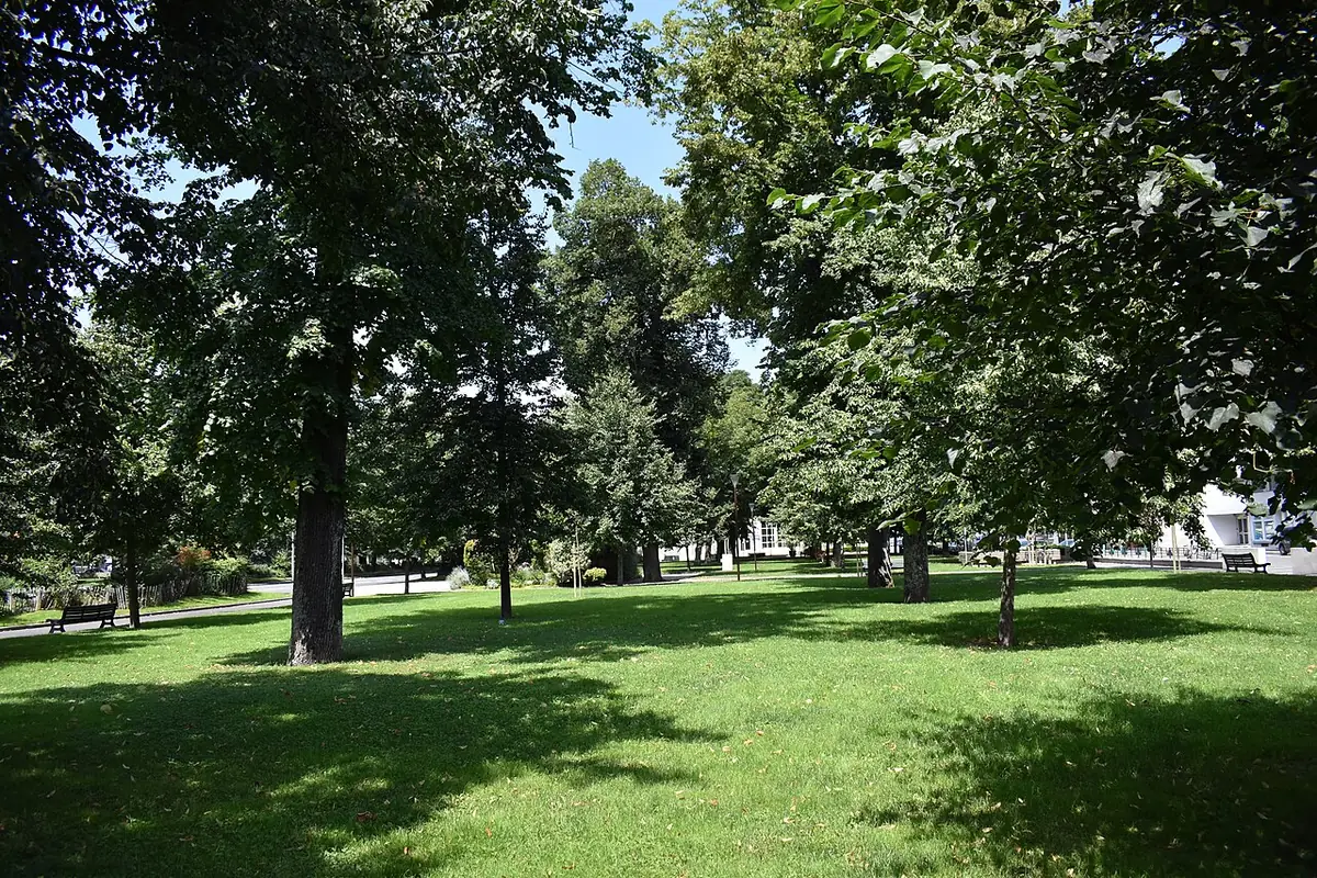 Pelouses et grands arbres du parc des allées du Général-Leclerc à Tarbes