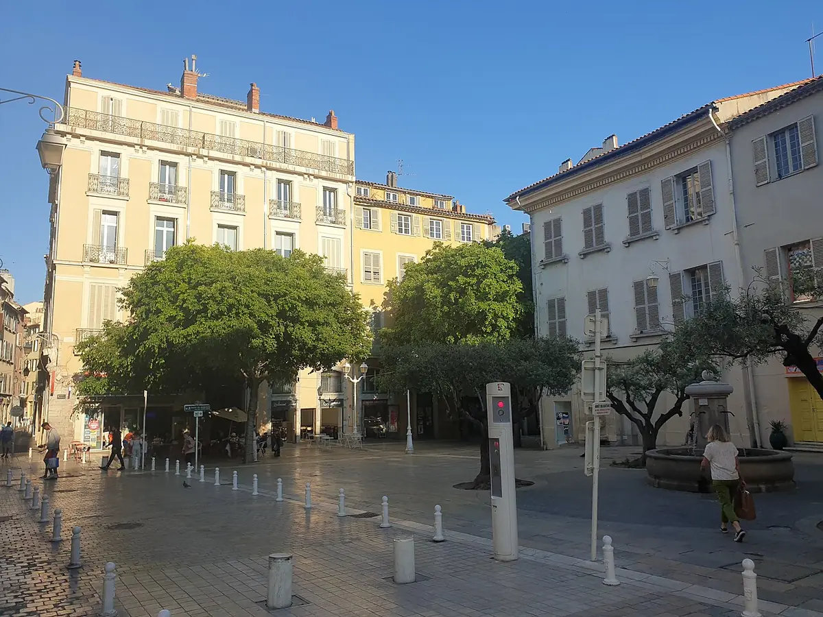 La Place Paul Comte, bordée de platanes, en plein centre de Toulon