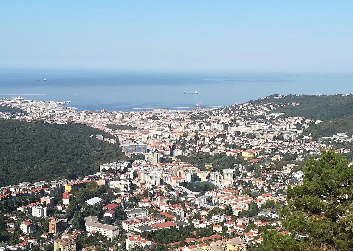 Vue aérienne de Trieste entre les collines boisées et le golfe de l’Adriatique