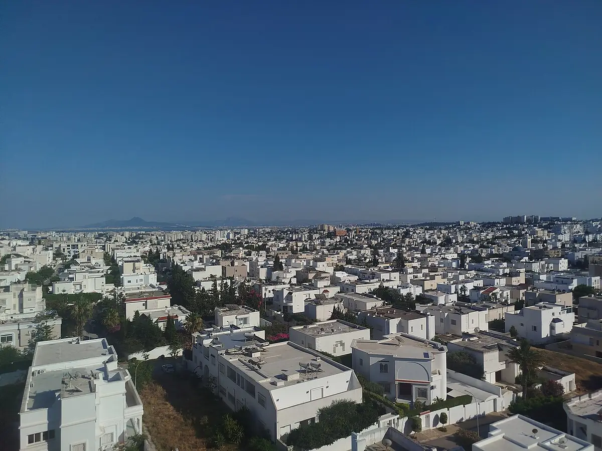 Vue aérienne sur les toits blancs des maisons de Tunis